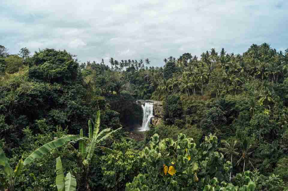 Bali Waterfalls and Temples Tour