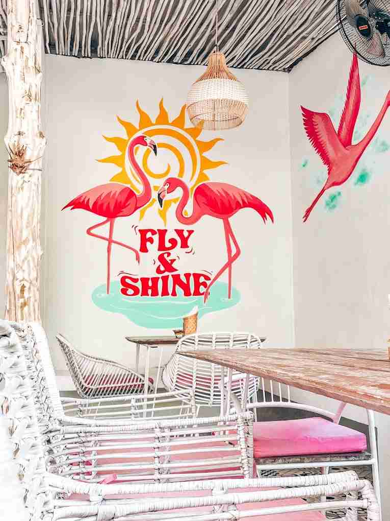 Fly and Shine